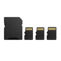 Cartões de Memória (17)