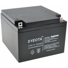 Bateria De Líderes Selados Sy24-12 12v/24ah Recarregável 175x124x165mm