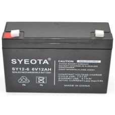 Bateria Chumbo Selada Recarregável 6v / 12ah Ref Sy12-6 Np12-6 Fg11202 Mp12-6 Lcr0612p