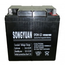 Bateria Chumbo Selada Recarregável 12v / 24ah Ref Sy24-12 165mm X 125mm X 175mm Largoxanchoxalto